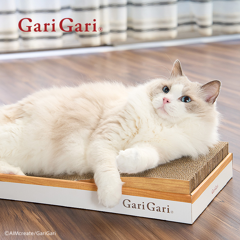 ガリガリプレイス　カーブ